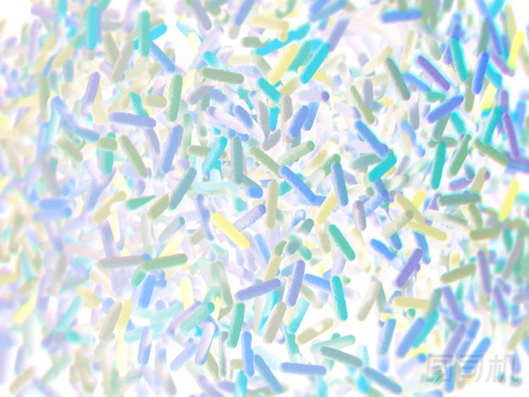 腸道細(xì)菌微生物組圖片