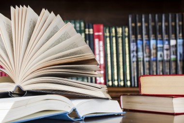 不同的許多中小型圖書館的色和形書