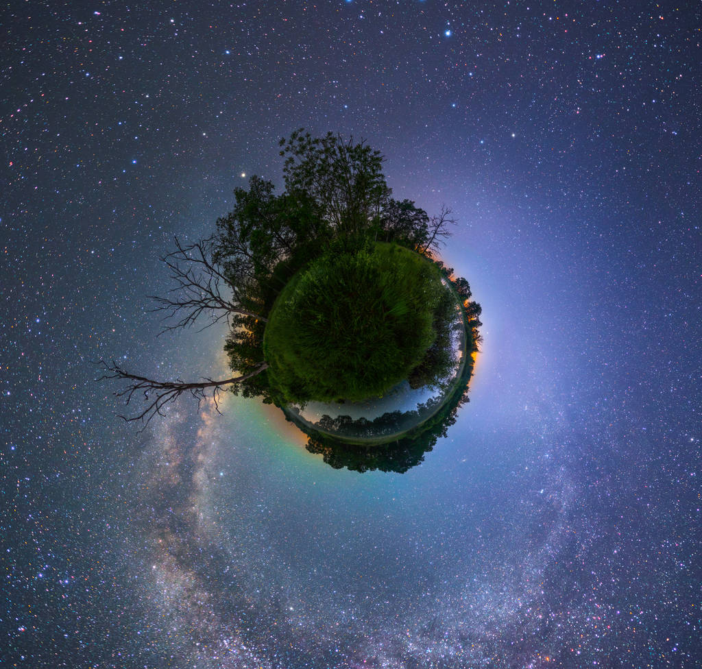 在晚上的树木的星球投影