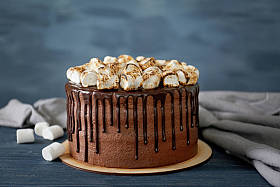 美味的巧克力蛋糕照片