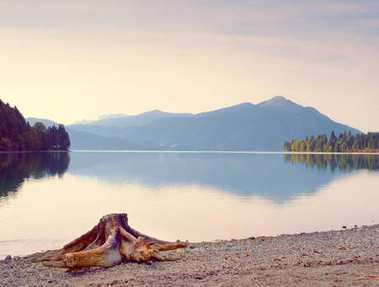 晚上湖岸邊的阿爾卑斯山。死了的樹(shù)樁的沙灘