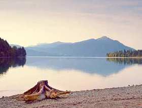 晚上湖岸边的阿尔卑斯山。死了的树桩的沙滩