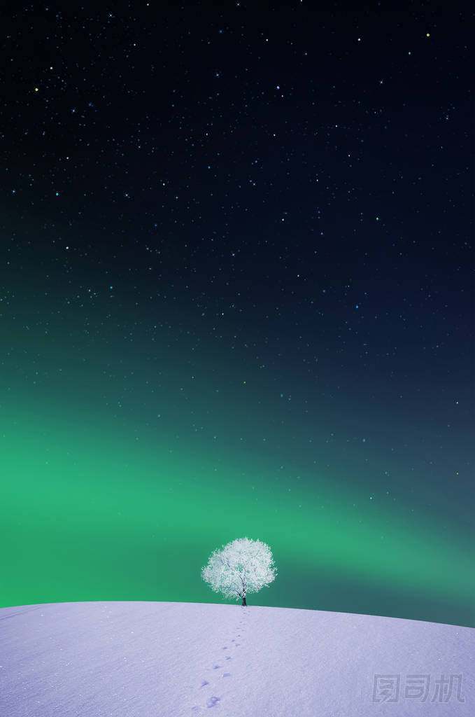 蘋果，冬季壁紙圖片