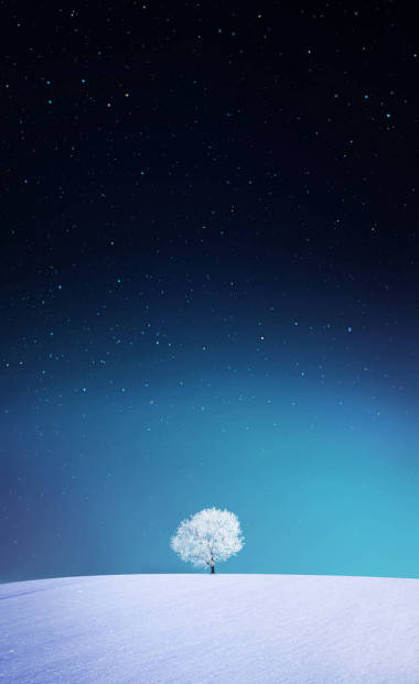 苹果，冬天壁纸图片