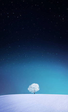 苹果，冬天壁纸图片