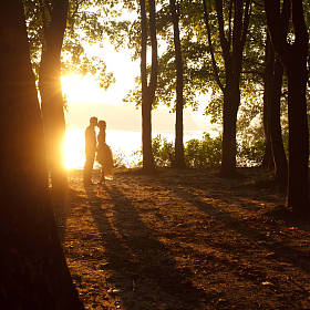 夏天阳光的照耀下几个吻