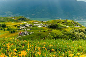 黄花菜在六十石山图片