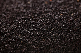 黑色小茴香或 caravay 或洋葱种子背景，浅景深