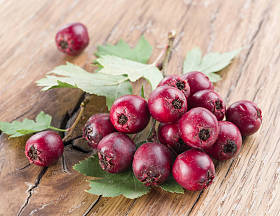 山楂浆果木制的桌子上