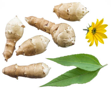 耶路撒冷洋蓟、 花和叶。文件包含剪辑 pa