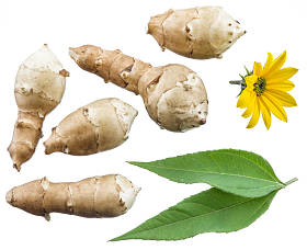 耶路撒冷洋蓟、 花和叶。文件包含剪辑 pa