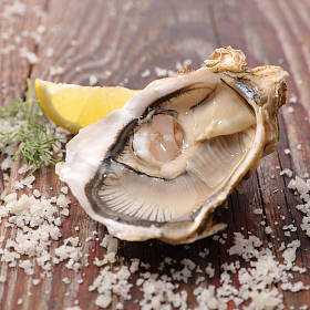 牡蛎和柠檬