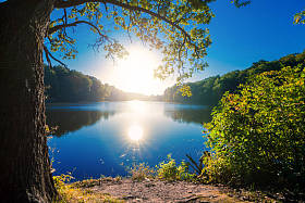 如诗如画的森林和河