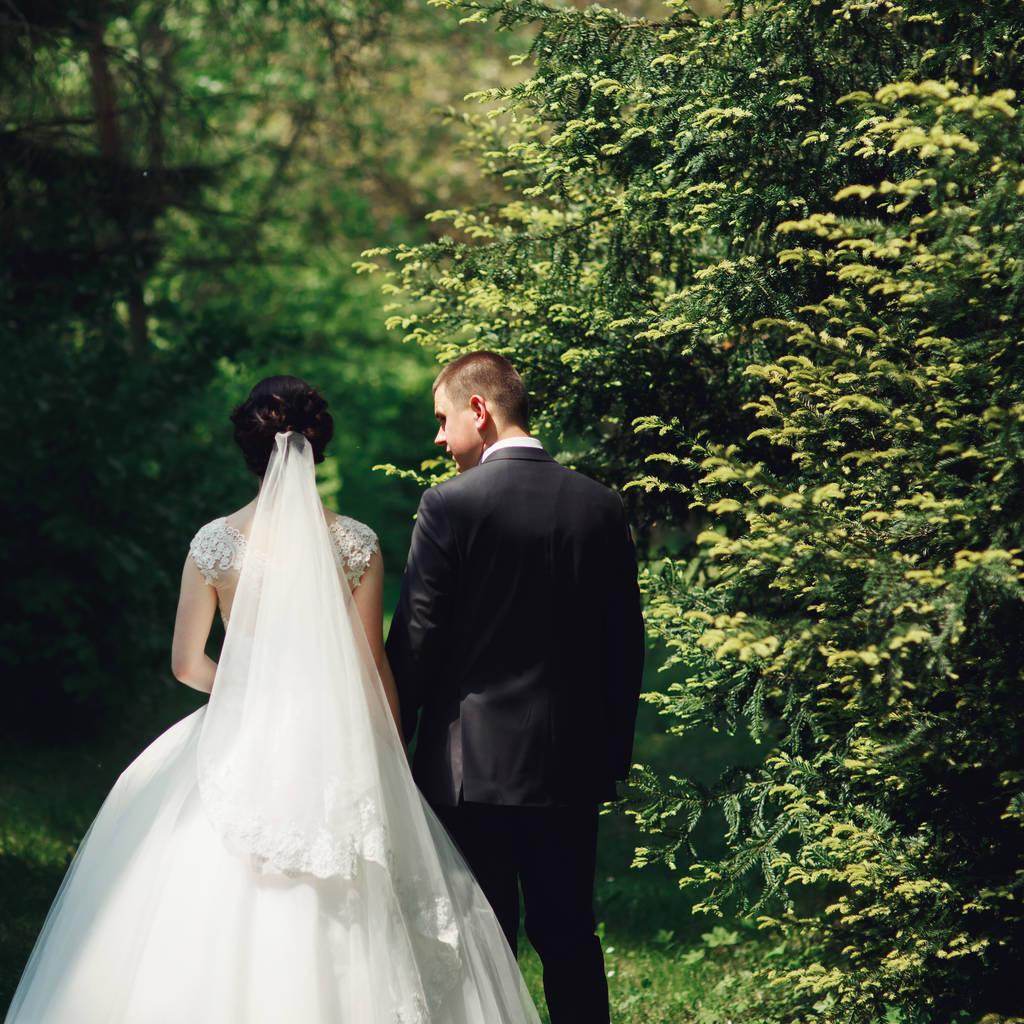 婚礼对夫妇在绿色的花园