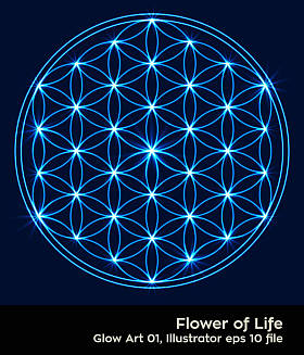 佛教脉轮图︰ 花的生命发光