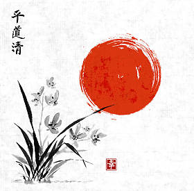 野生兰花和红太阳在草原上图片