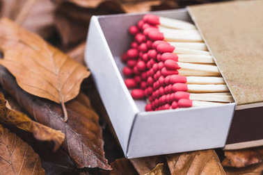 火柴头在框宏图片