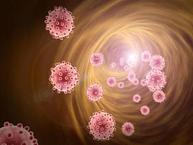 血管内巨噬细胞图片