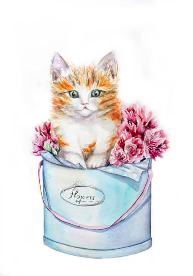 與花在帽子盒小貓