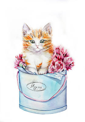 与花在帽子盒小猫