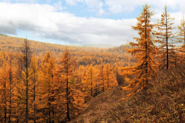 内蒙古阿尔山秋色图片