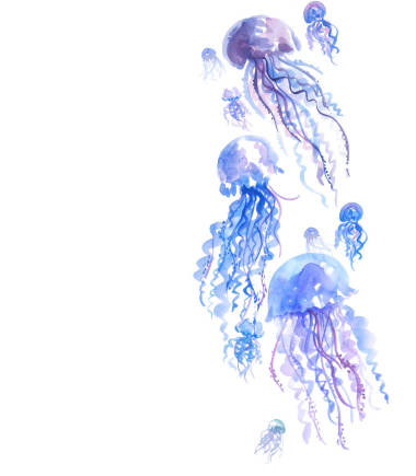 孤立的蒼白色嫩水母水彩插圖。醫(yī)管