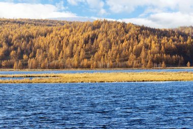 阿尔山山国家森林公园