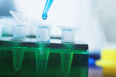 分子生物學(xué)