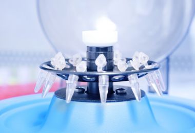 分子生物學(xué)