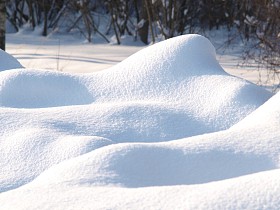 新鲜的雪盖