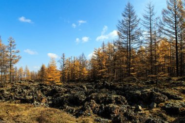 内蒙古国家森林公园阿尔山图片