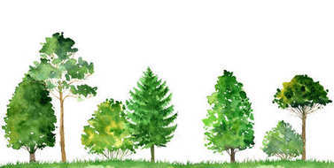 水彩風(fēng)景的樹