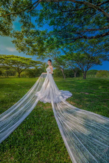 白色的婚紗禮服時