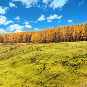 内蒙古阿尔山风光图片