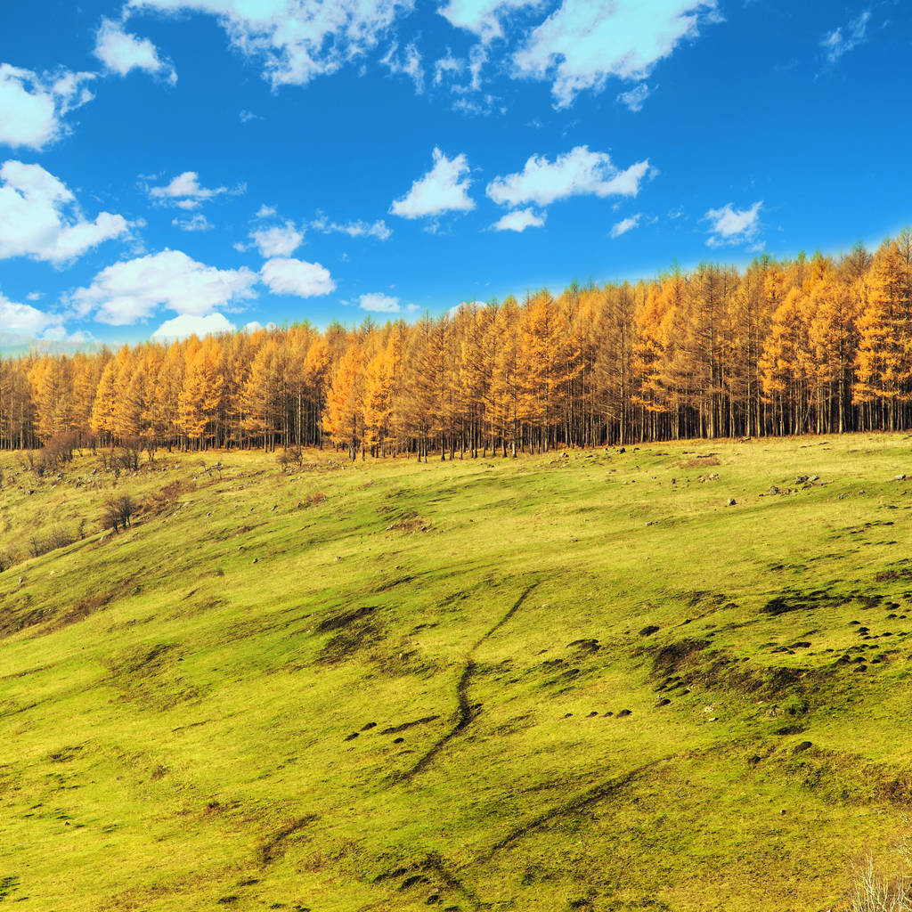 内蒙古阿尔山风光图片 内蒙古阿尔山风光图片