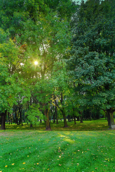 美麗的公園