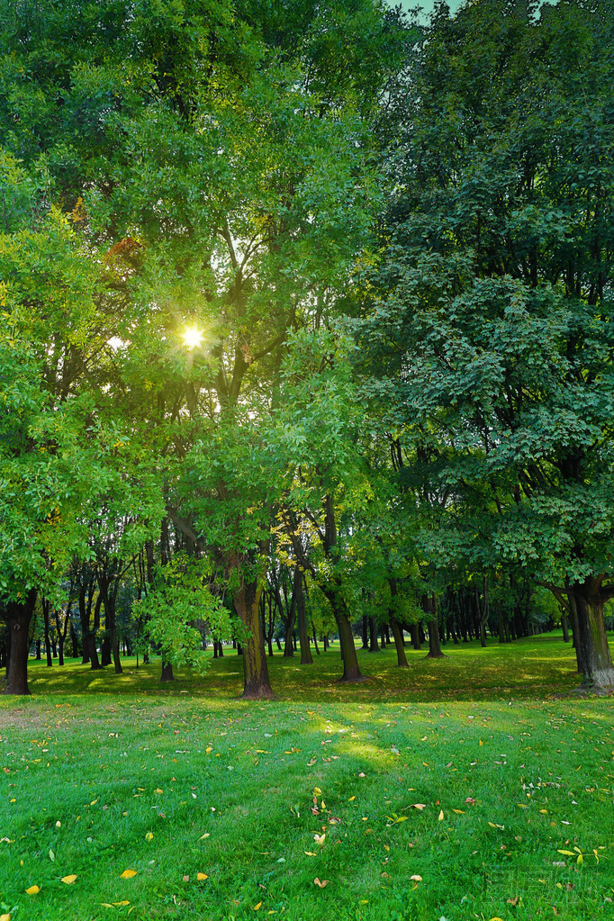 美麗的公園