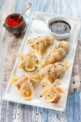 中国蒸饺子 gioza 在各种成形
