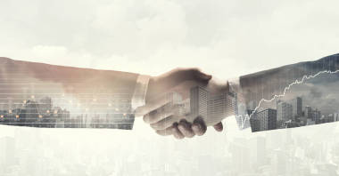 握手的伙伴?；旌厦襟w