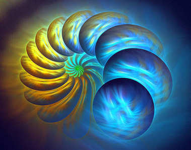 抽象形背景-計(jì)算機(jī)生成圖像。海貝殼