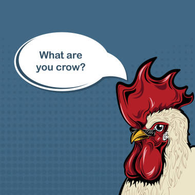 公鸡和云与文本