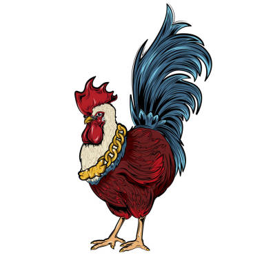 一條金項(xiàng)鏈的公雞贓物風(fēng)格圖片