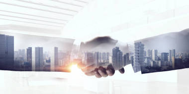 握手的伙伴?；旌厦襟w