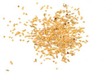 混合的鸟种子上白色孤立