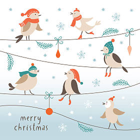 圣诞插画与鸟