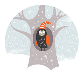 圣诞卡片与猫头鹰图片