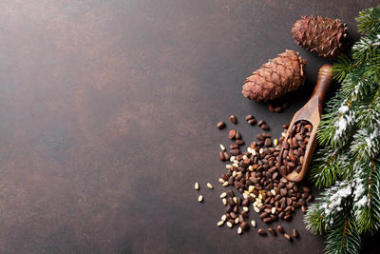 松子仁、 視錐細(xì)胞和樅樹圖片