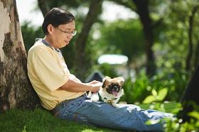 人和狗在公园里休息