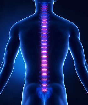 骨干椎间盘解剖后视图