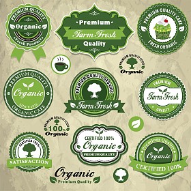 复古框架与有机标签模板图片